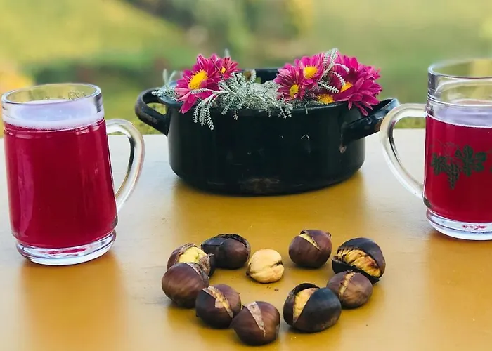 شقة Steirer Haus غامليتز