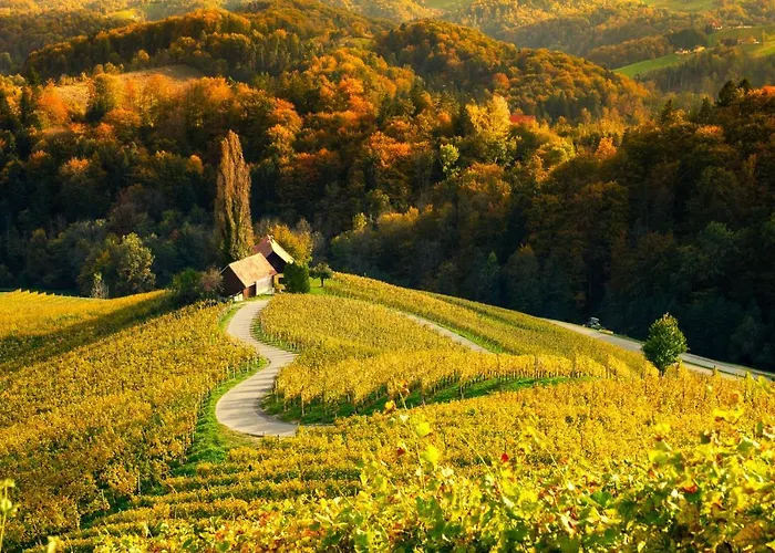 Steirer Haus شقة *